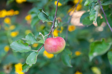 Similar image 8224261