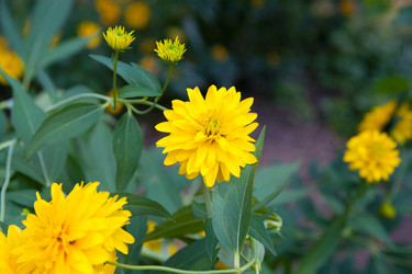 Similar image 8224268