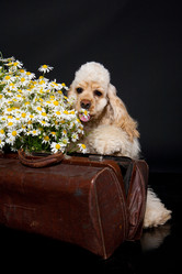 Similar image 8224383