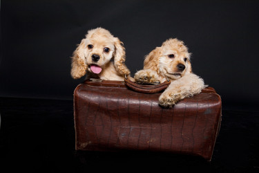 Similar image 8224384