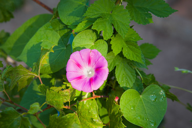 Similar image 8224403