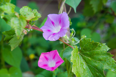 Similar image 8224407