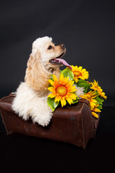 Similar image 8224417