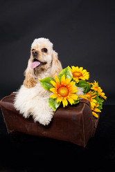 Similar image 8224419