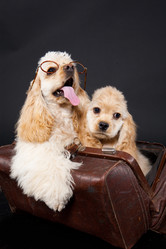 Similar image 8224422