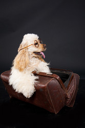 Similar image 8224424