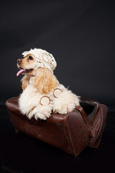 Similar image 8224555