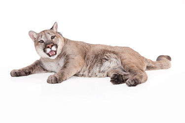 Similar image 8224556