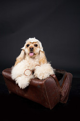 Similar image 8224557