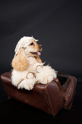 Similar image 8224559