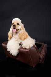 Similar image 8224563