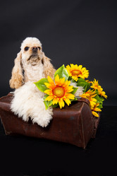 Similar image 8224564