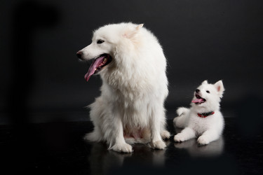 Similar image 8224565