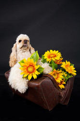 Similar image 8224566