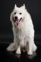 Similar image 8224567