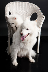 Similar image 8224568