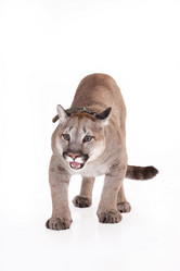 Similar image 8224570