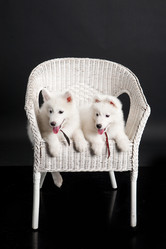 Similar image 8224573