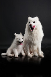 Similar image 8224576