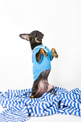 Similar image 8224578