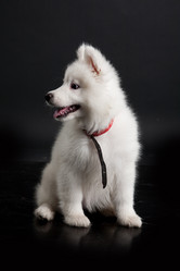 Similar image 8224580