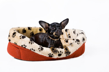 Similar image 8224581