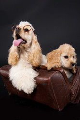 Similar image 8224582