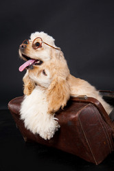 Similar image 8224586