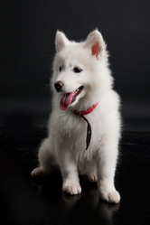 Similar image 8224588