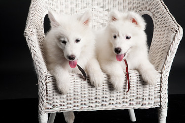 Similar image 8224592