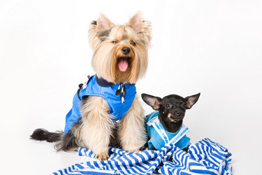 Similar image 8224597