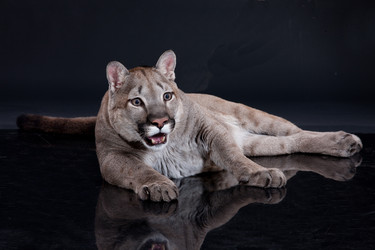 Similar image 8224598