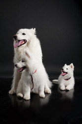 Similar image 8224601