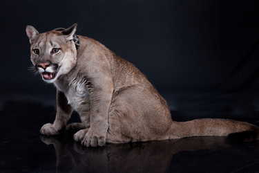 Similar image 8224600