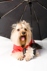 Similar image 8224603