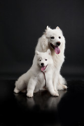 Similar image 8224604