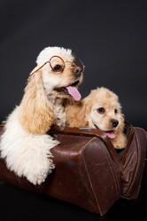 Similar image 8224612