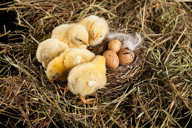 Similar image 8224615