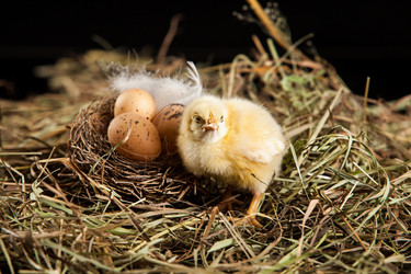 Similar image 8224625