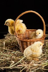 Similar image 8224627