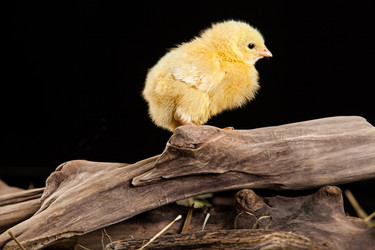 Similar image 8224633