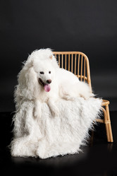 Similar image 8224634