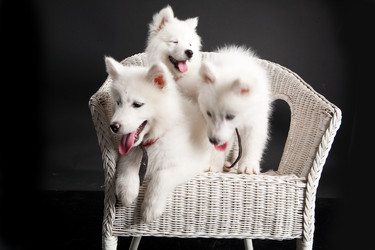 Similar image 8224635