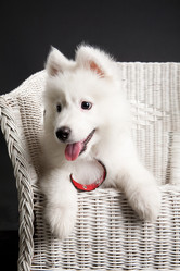 Similar image 8224637