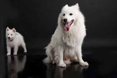 Similar image 8224641