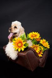 Similar image 8224646