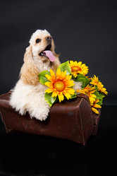 Similar image 8224647