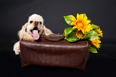 Similar image 8224648