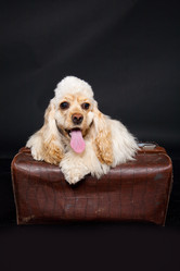 Similar image 8224649