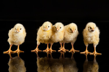 Similar image 8224653